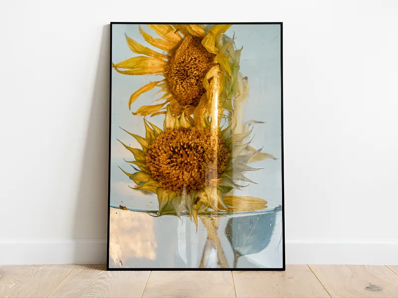 Sunflower-11 Evgenia Pervak